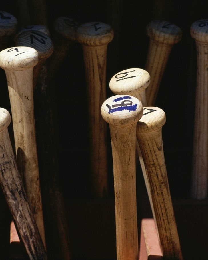 bats needing a baseball gear storage solution